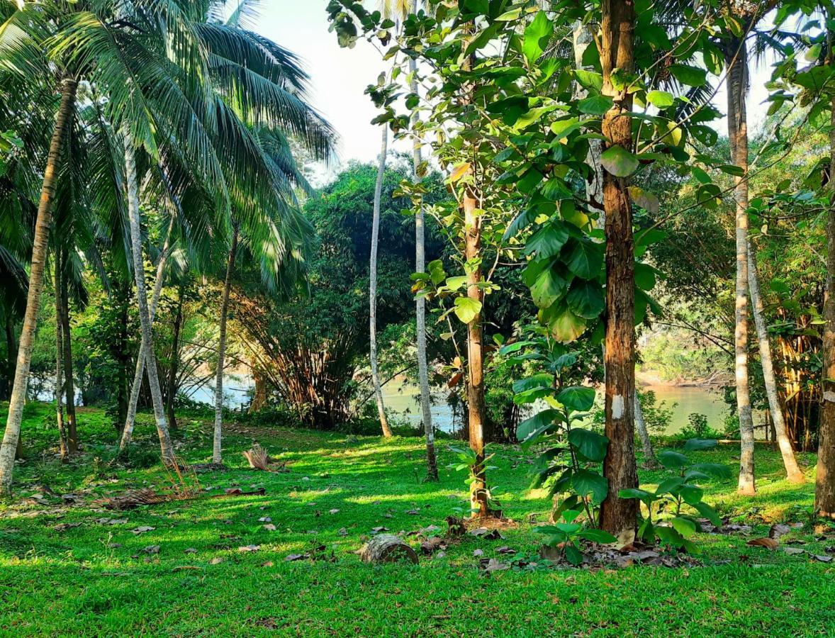 Nature'S Hideout Holiday Home Mirigama Buitenkant foto