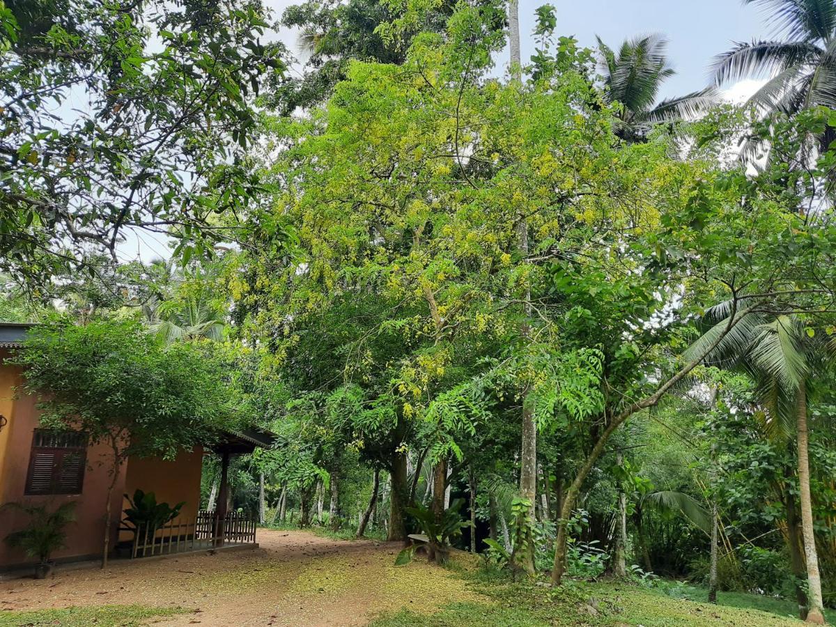 Nature'S Hideout Holiday Home Mirigama Buitenkant foto
