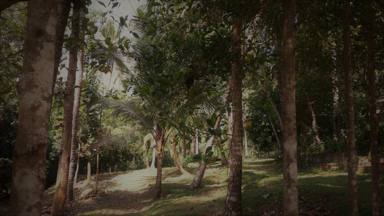 Nature'S Hideout Holiday Home Mirigama Buitenkant foto