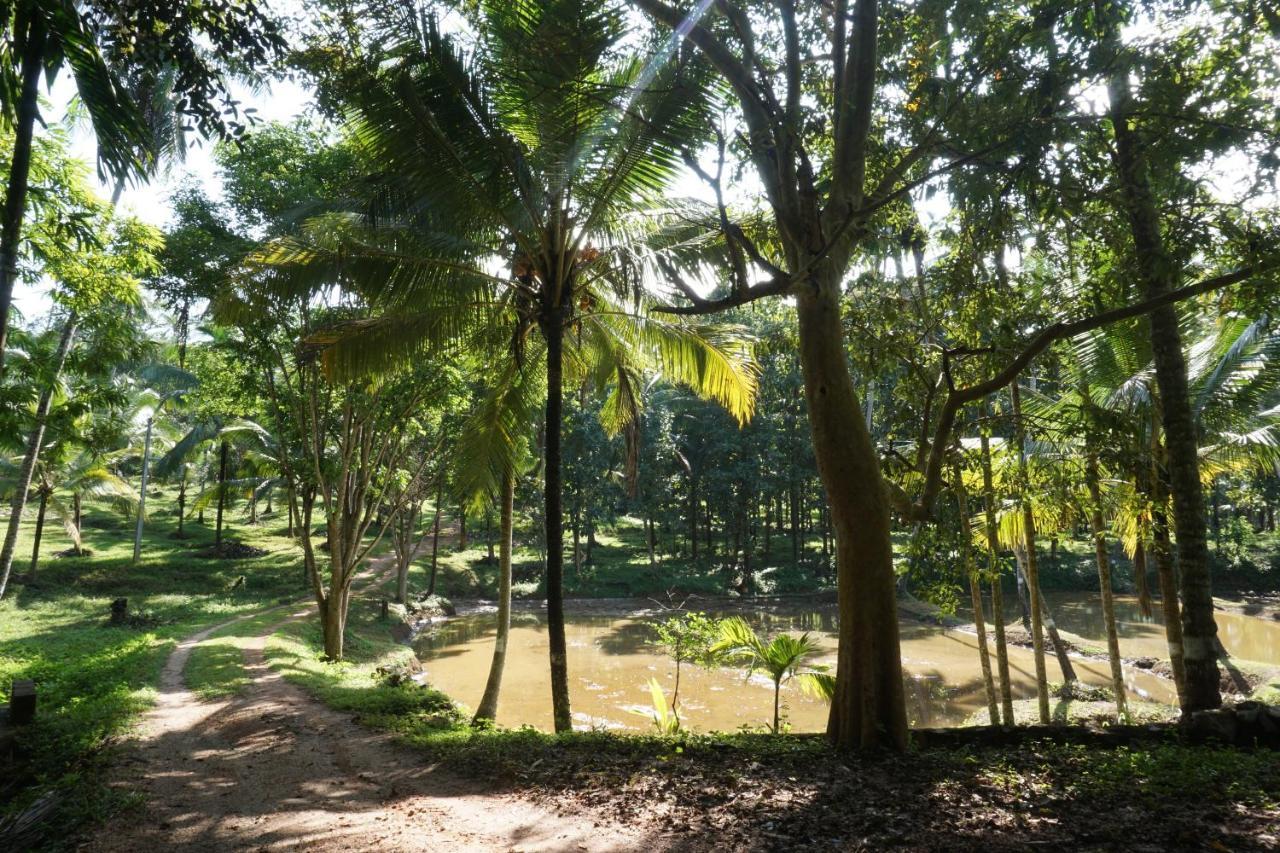 Nature'S Hideout Holiday Home Mirigama Buitenkant foto
